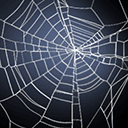 Broodmother Spin Web